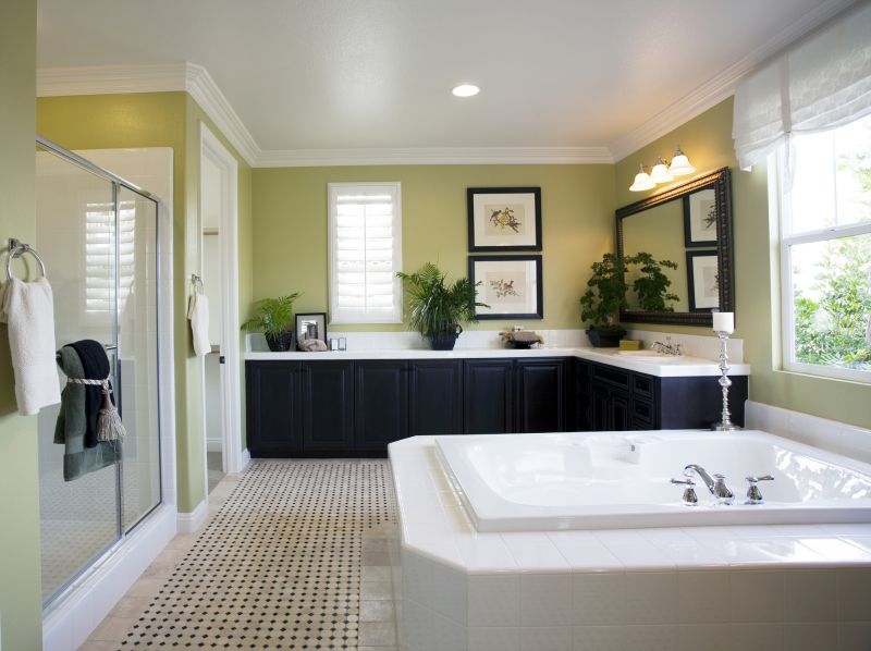 Luxurious Bathtub Areas